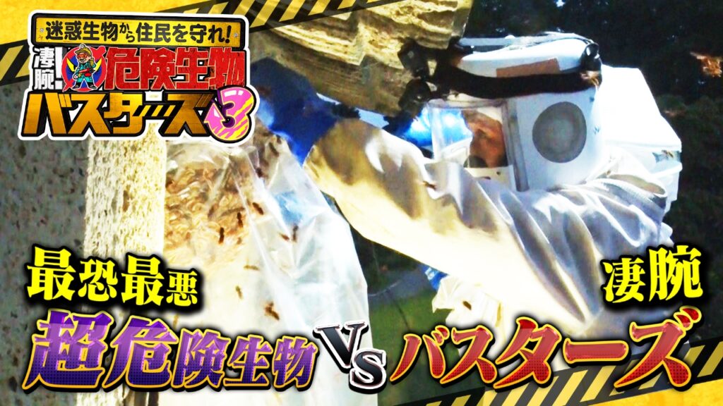 【アライグマ、ムササビ】『危険生物バスターズ3』にて駆除の様子が紹介されました【2023/6/11放送】