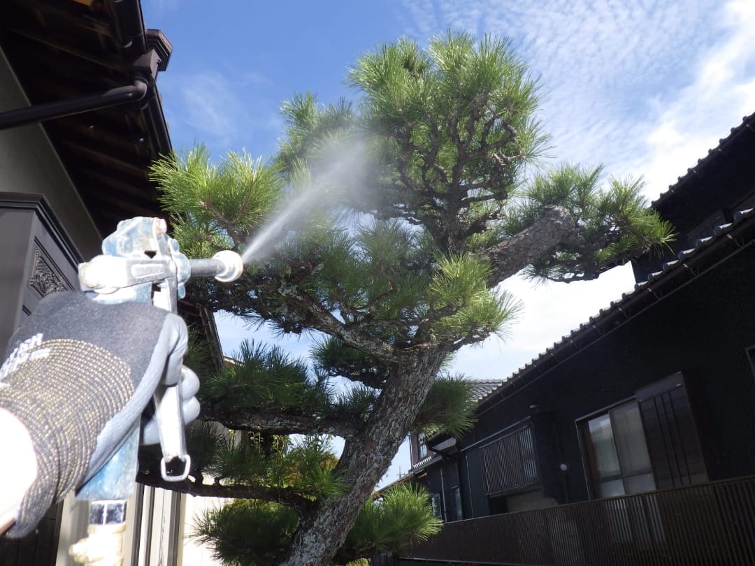 知識・技術の提供