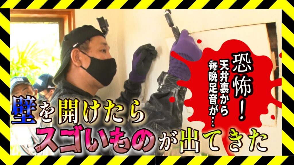 【アライグマ】YouTube『駆除ちゃんねる』にて駆除の様子が紹介されました